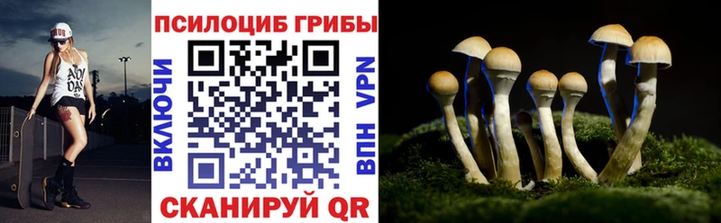 Галлюциногенные грибы Psilocybe  Купить где  Малгобек 