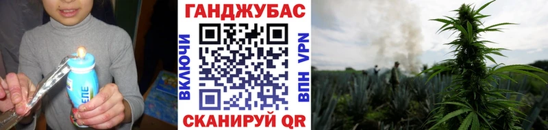 Купить  Малгобек  Бошки марихуана тримм 